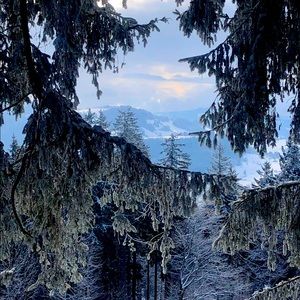 Meet your Posher, Shoshana